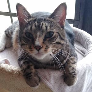 Meet your Posher, Cheryl